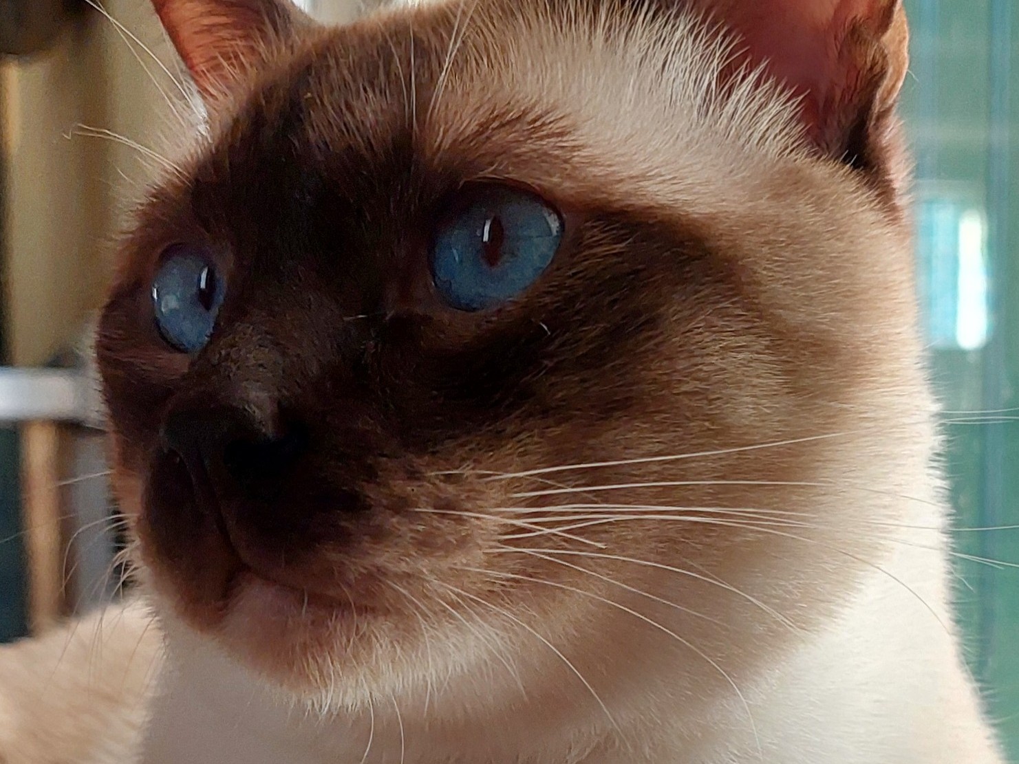 RAVEL DEI THAI DI RAMA